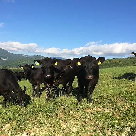 Agriturismo Fontandrone Séjour à la ferme Pieve Santo Stefano